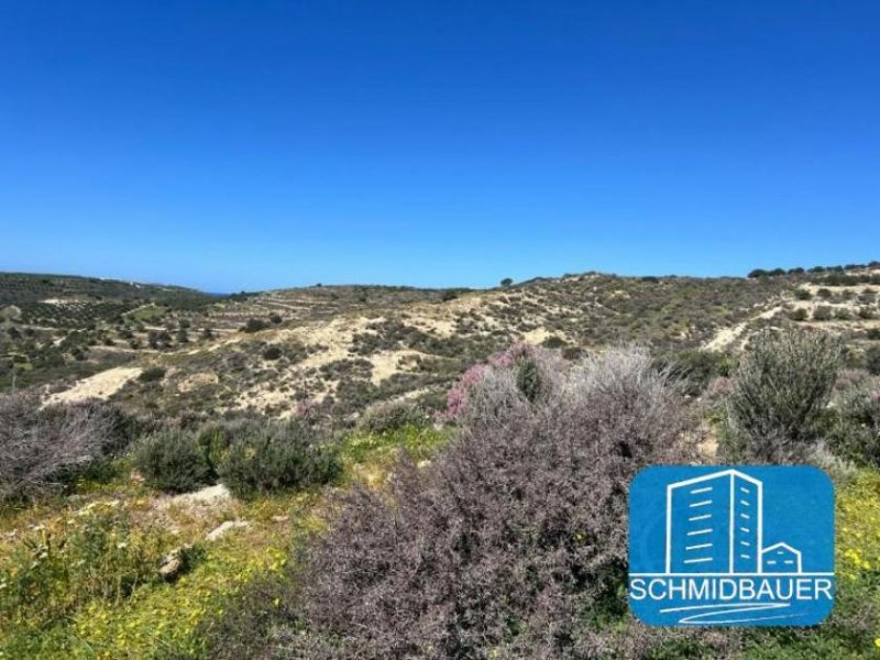 Pitsidia Kreta, Pitsidia: Grundstück am Ortsrand zu verkaufen Grundstück kaufen